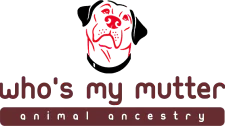 logo 1 673e1133da5df