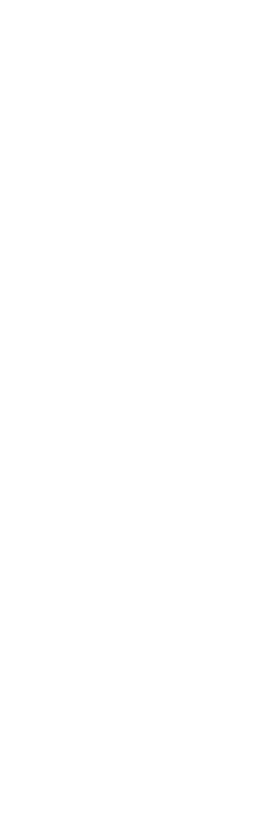 paw marks